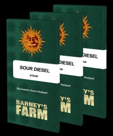 Barneys Farm Feminized Seeds Sour Diesel