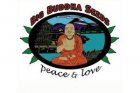Big Buddha Auto Fem Seeds