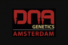 DNA Regular Seeds