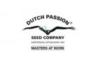 Dutch Passion Seed