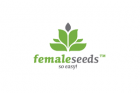 Female Auto Seeds
