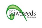 Kiwi Regular Seeds