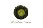 Mandala Regular Seeds