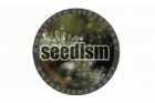 Seedism Regular Seeds