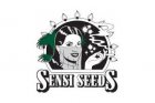 Sensi Seeds Auto Feminized
