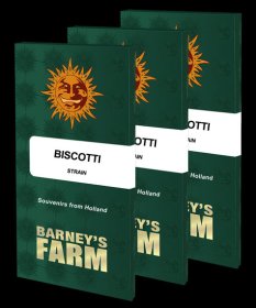 Barneys Farm Feminized Seeds Biscotti