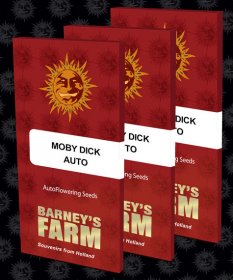 Barney's Farm Auto Feminized Seeds - Moby Dick