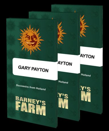 Barneys Farm Feminized Seeds Gary Payton