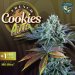 TH Seeds Feminized French Cookies Autoflower