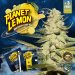 TH Seeds Feminized Planet Lemon